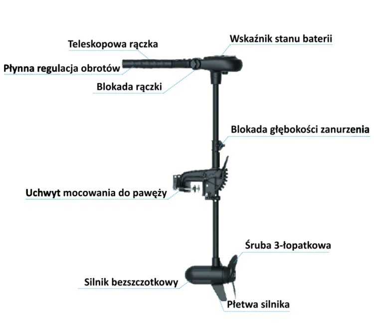 Silnik elektryczny Haswing Protruar 1.0 12V