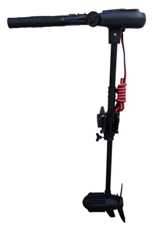 Silnik elektryczny Haswing Protruar 1.0 12V