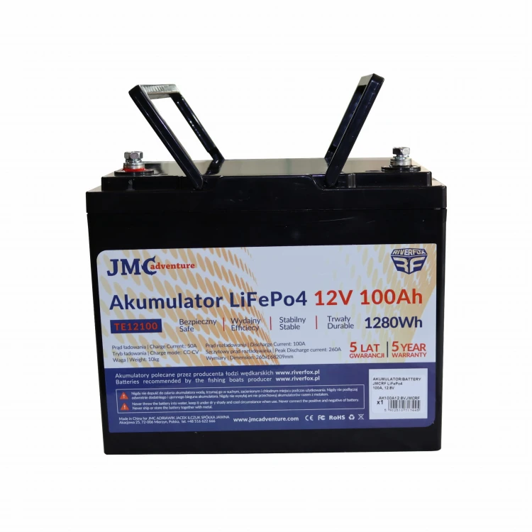 Akumulator LiFePo4 100Ah 12,8V