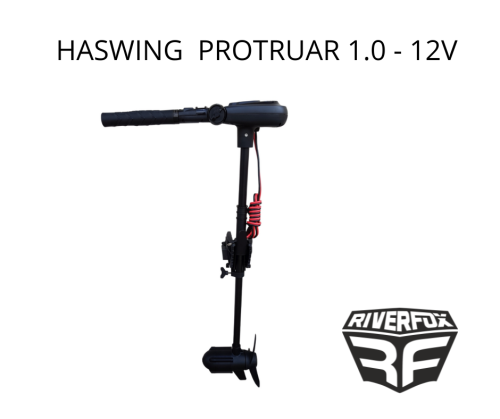 Silnik elektryczny Haswing Protruar 1.0 12V