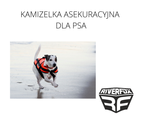 KAMIZELKA ASEKURACYJNA DLA PSA.png