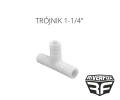 TRÓJNIK 1-14.png