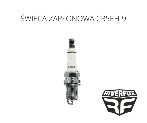 ŚWIECA ZAPŁONOWA CR5EH-9 .png