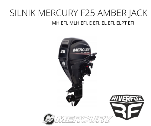 Silnik zaburtowy Mercury F25 EFI E