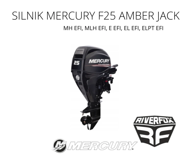 Silnik zaburtowy Mercury F25 EFI E
