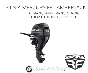 SILNIK ZABURTOWY MERCURY F30 EFI EL GA