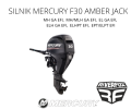 Silnik zaburtowy Mercury F30 EFI MLH GA