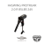 Haswing Protruar 2.0 85lbs 24V silnik elektryczny