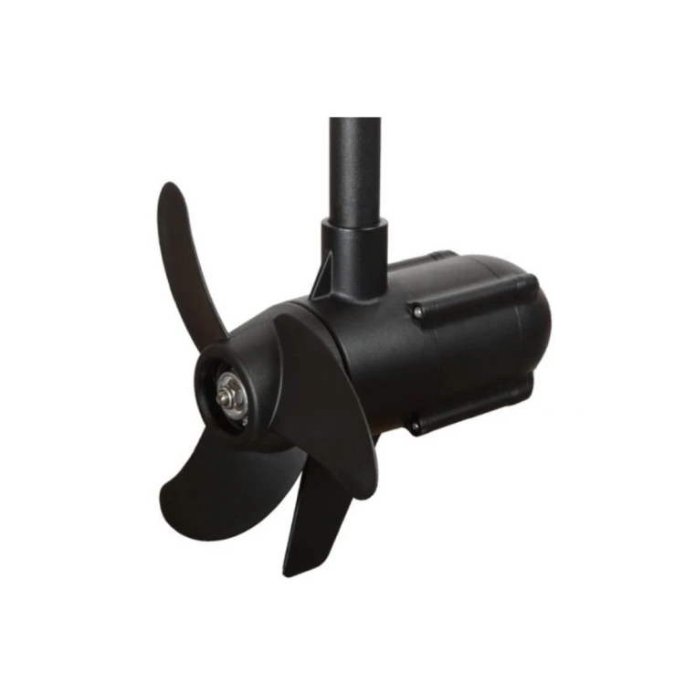 Silnik elektryczny Haswing Protruar 1.0 12V