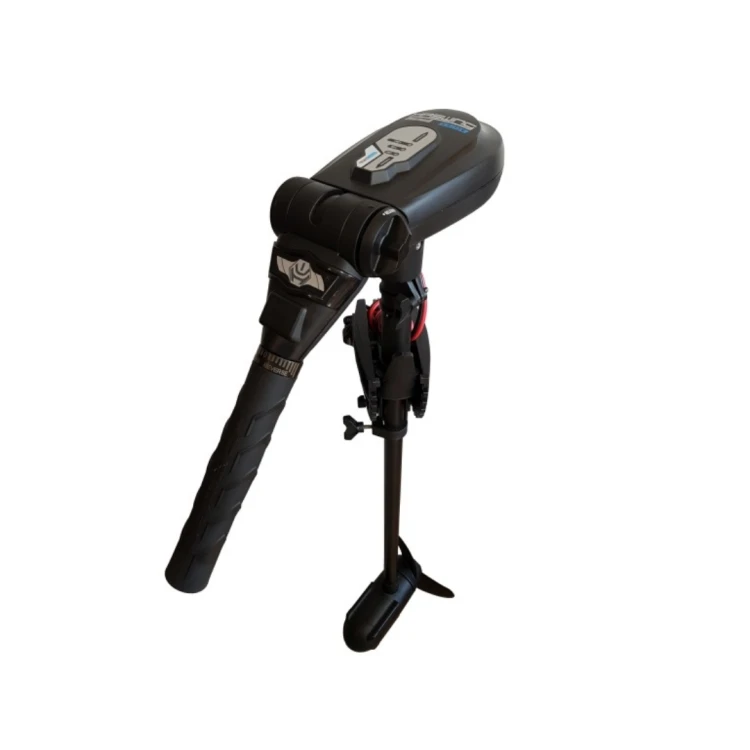 Silnik elektryczny Haswing Protruar 1.0 12V