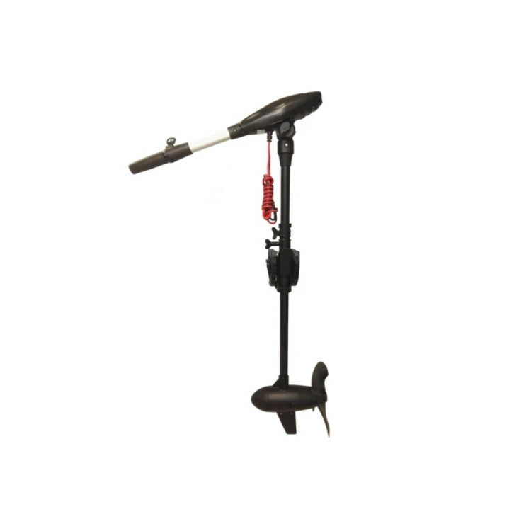 Haswing Protruar 3.0G 24V 110LBS