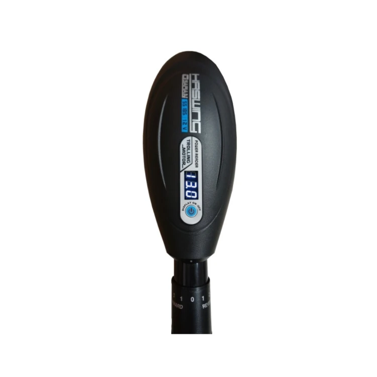 Silnik elektryczny Haswing Osapian 55 LED