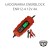 Ładowarka prostownik Enerblock 12V 4A
